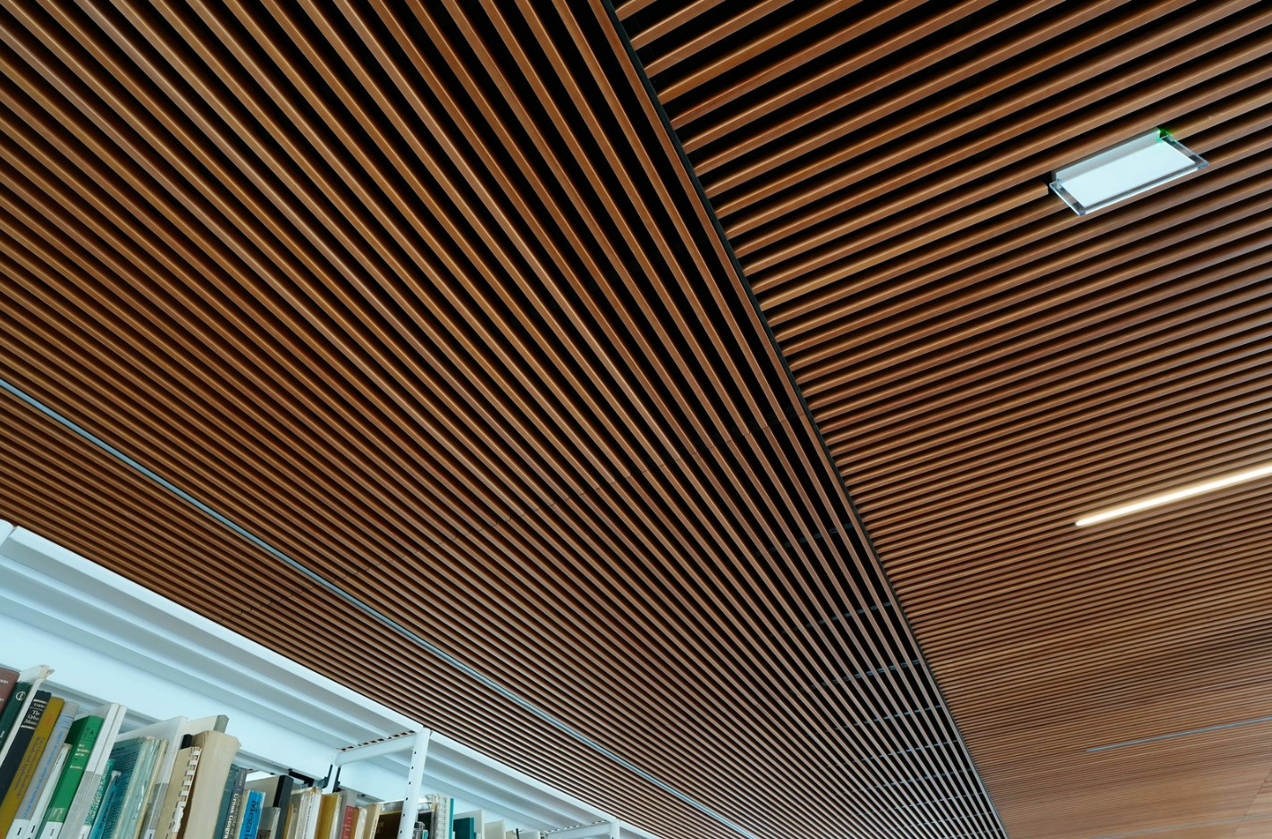 A0100_Photo_18_Ecole_Polytechnique_Universite_De_Tours_TBS_Credit_Philippe_Montigny